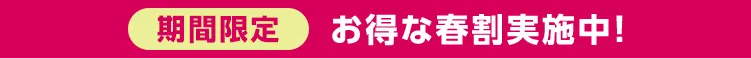 お得な春割実施中