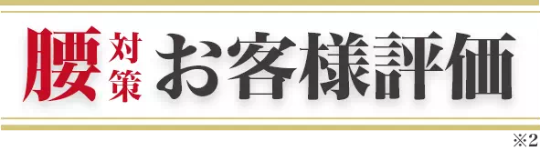 腰対策お客様評価