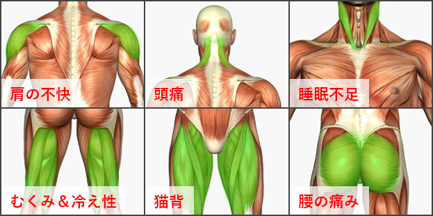 あなたの肩の不快感の原因は ４つの原因と解消方法 ストレッチ専門店 Dr Stretch